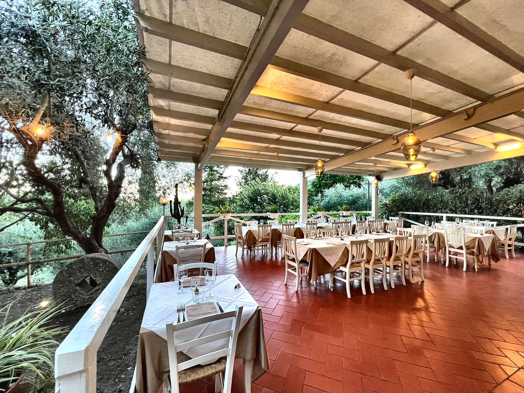 Il pergolato della terrazza di Giulivo